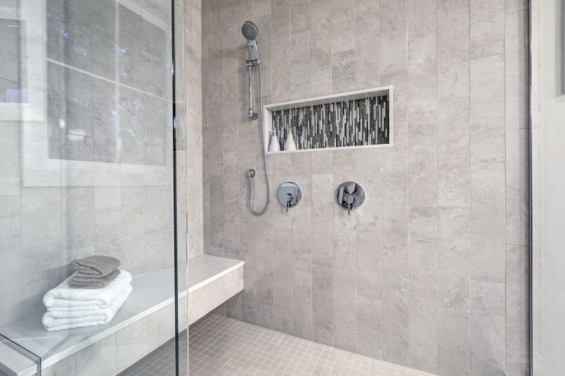 Sleek Shower Features
